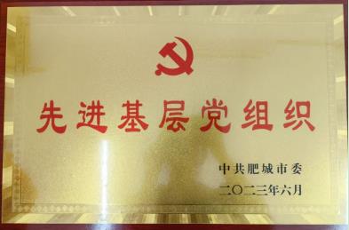 喜報！公司黨委榮獲肥城市“先進(jìn)基層黨組織”榮譽(yù)稱(chēng)號